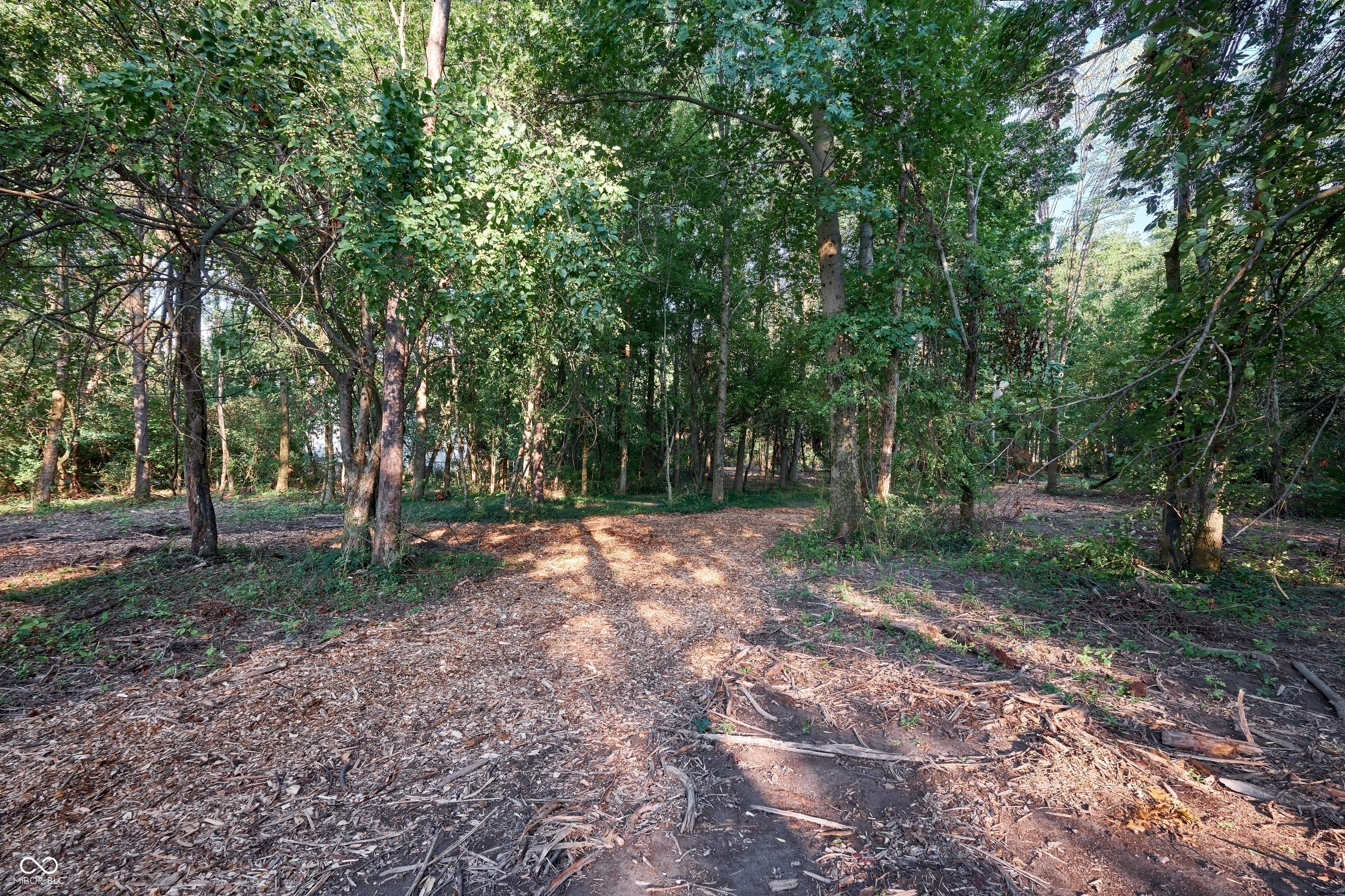 7111 North Meridian Street Indianapolis, IN 46260 - Photo 7 of 14