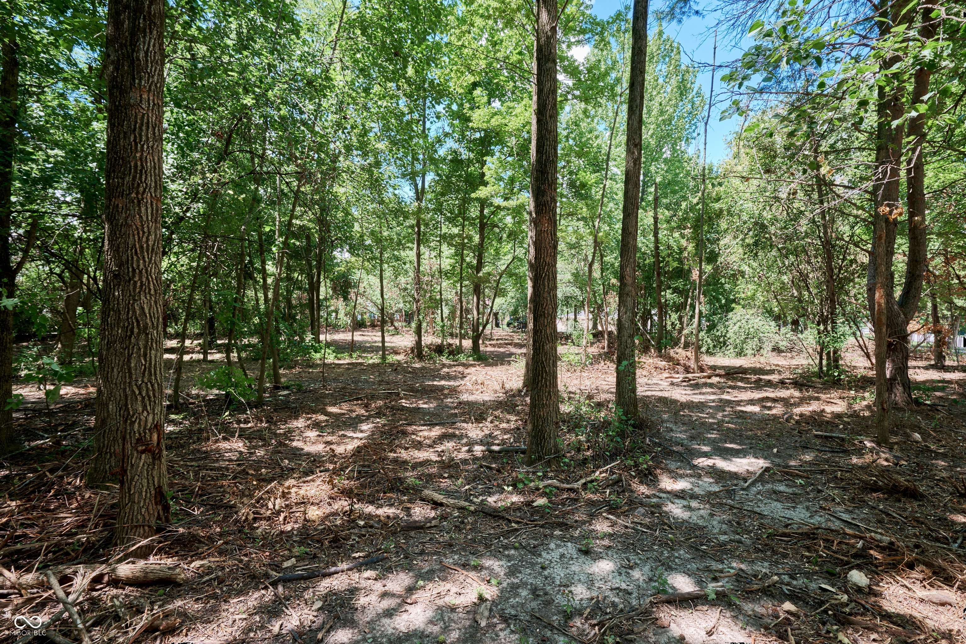 7111 North Meridian Street Indianapolis, IN 46260 - Photo 9 of 14