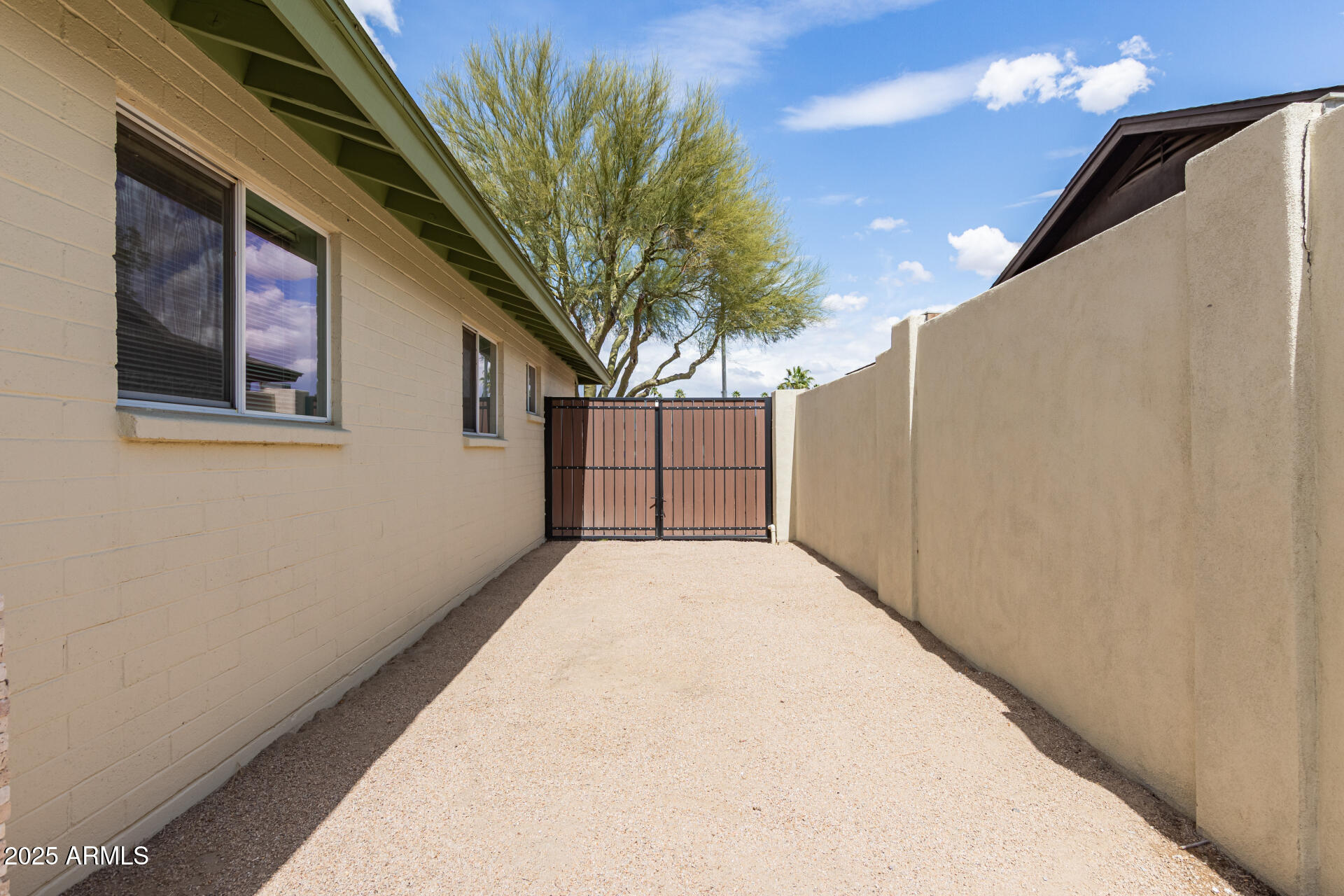 1237 East Gemini Drive Tempe, AZ 85283 - Photo 49 of 51 a view of a backyard with a tree
