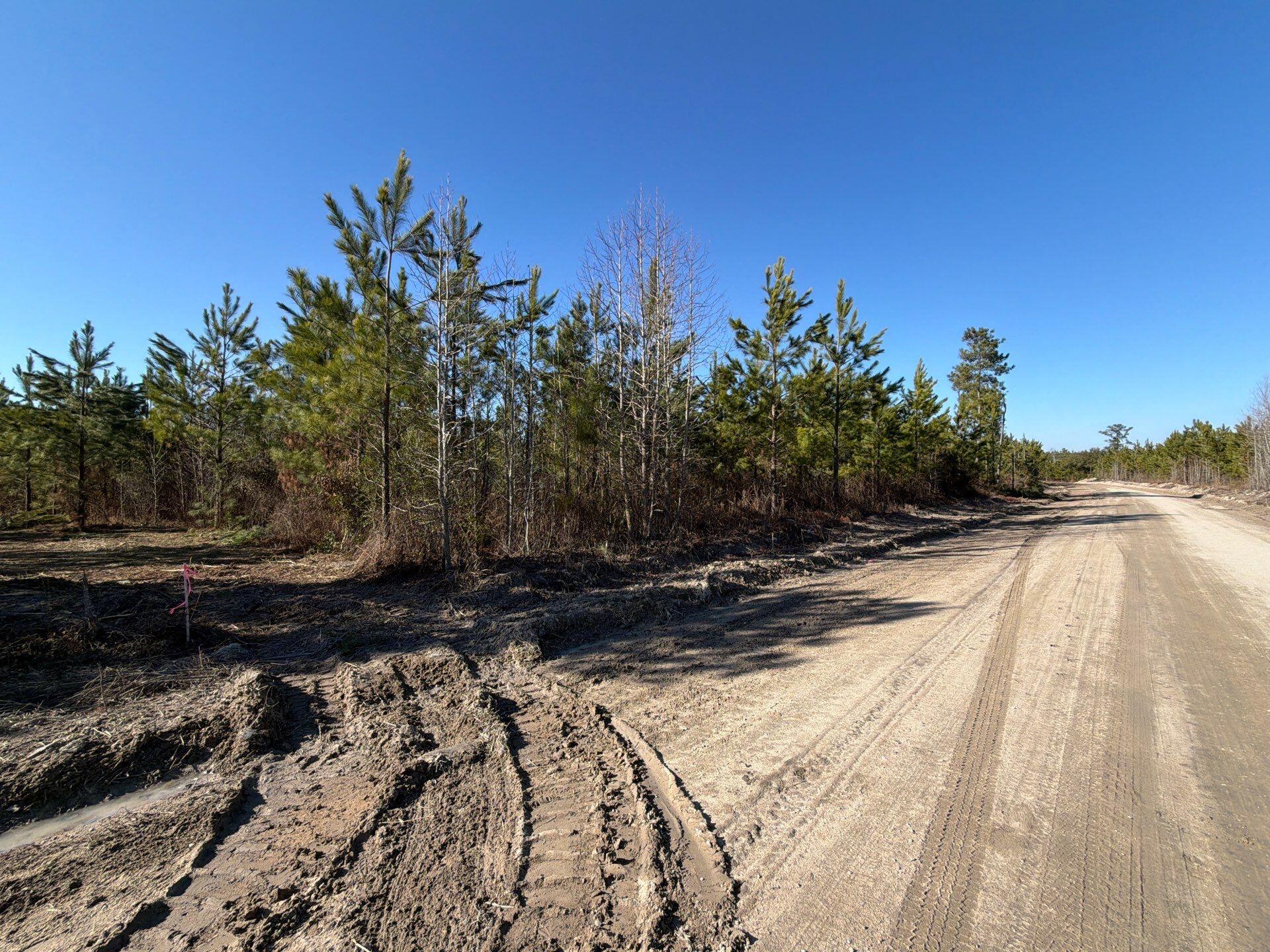 6 Brunson Teal Road Patrick, SC 29584 - Photo 1 of 13 1-Jan 28 2026 07_52pm-79ir