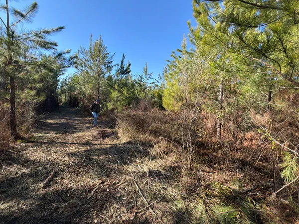 $49,900 | 6 Brunson Teal Road, Patrick, SC 29584