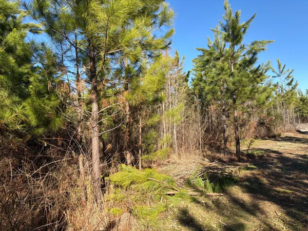 $49,900 | 6 Brunson Teal Road, Patrick, SC 29584