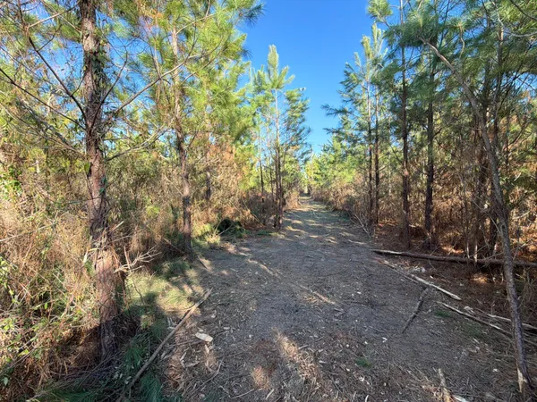 $49,900 | 6 Brunson Teal Road, Patrick, SC 29584