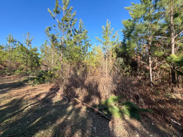 $49,900 | 6 Brunson Teal Road, Patrick, SC 29584