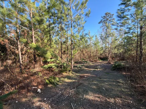 $49,900 | 6 Brunson Teal Road, Patrick, SC 29584