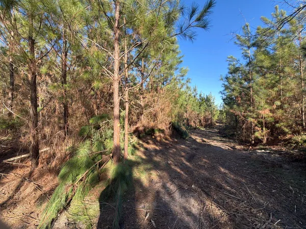 $49,900 | 6 Brunson Teal Road, Patrick, SC 29584