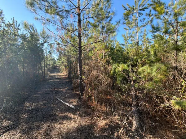 $49,900 | 6 Brunson Teal Road, Patrick, SC 29584
