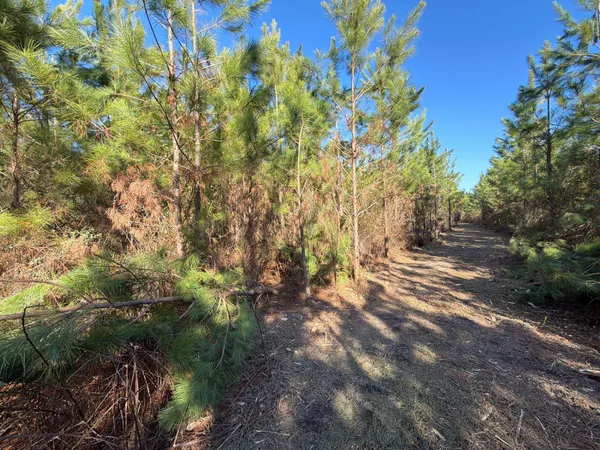 $49,900 | 6 Brunson Teal Road, Patrick, SC 29584