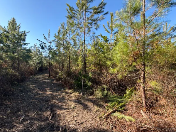 $49,900 | 6 Brunson Teal Road, Patrick, SC 29584