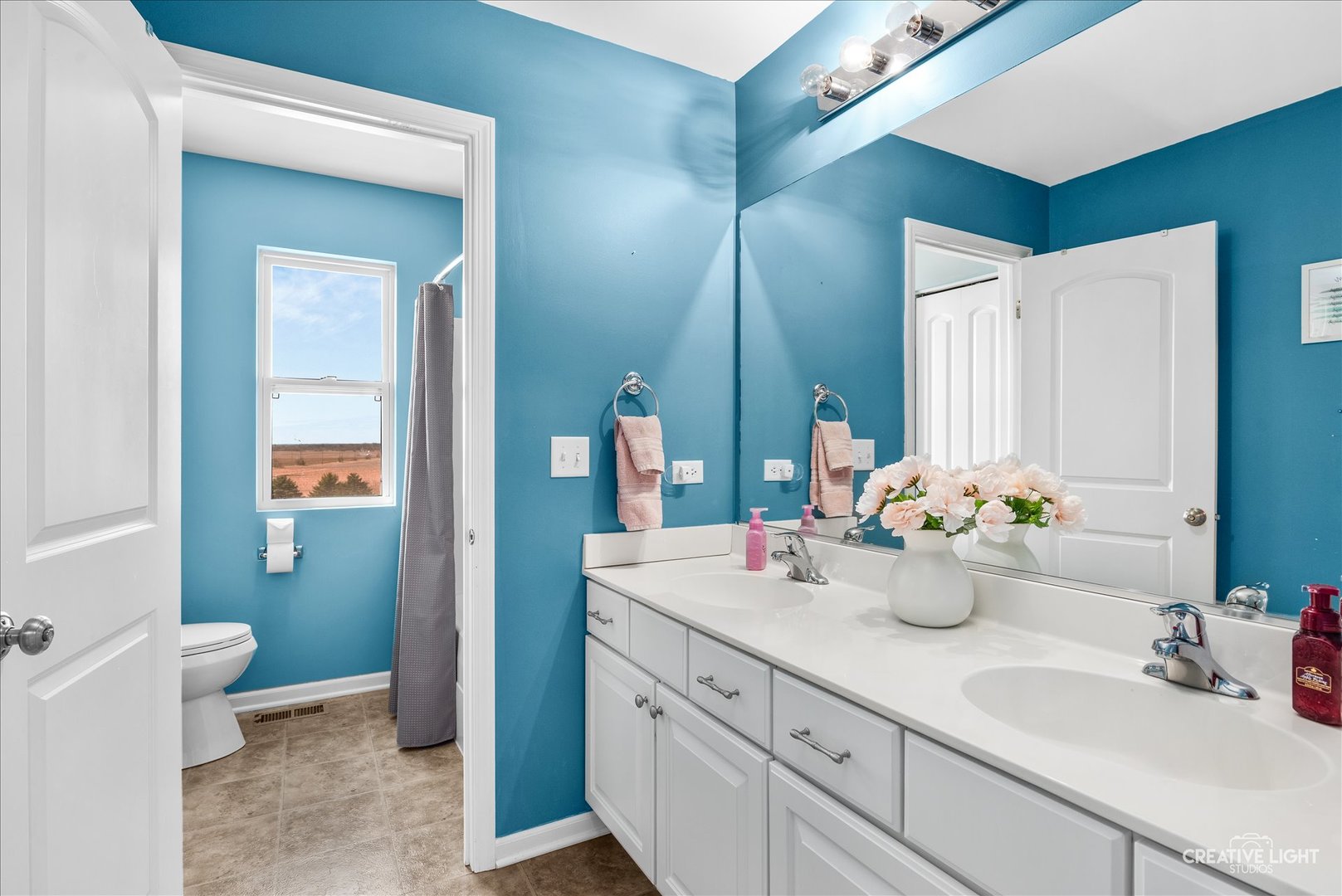 1615 Seward Road Joliet, IL 60431 - Photo 18 of 31 a bathroom with a sink a toilet and shower curtain