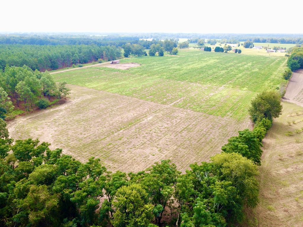 10.69-acres Summer Road Slocomb, AL 36375 - Photo 35 of 51