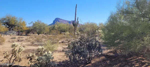 $60,000 | 7214 North Gecko Run Trail, Tucson, AZ 85743