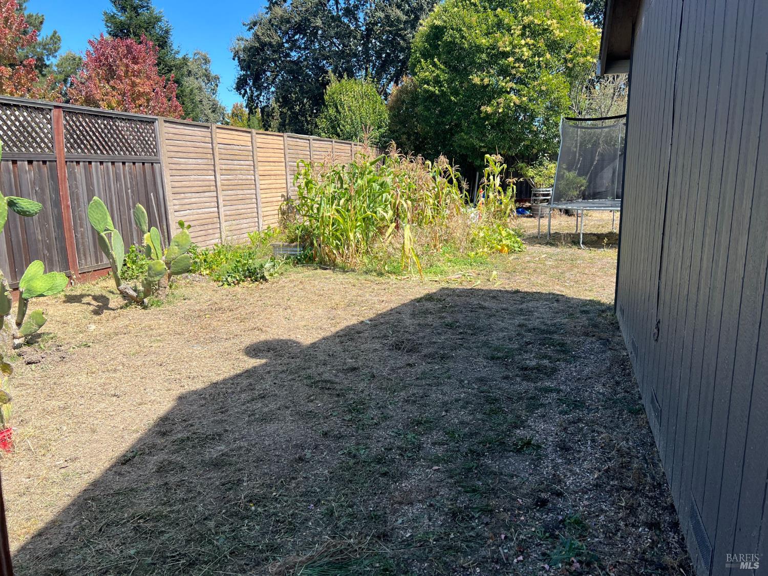 1680-1682 Dutton Avenue, Unit 2 Santa Rosa, CA 95407 - Photo 6 of 17 Gallery Image 6