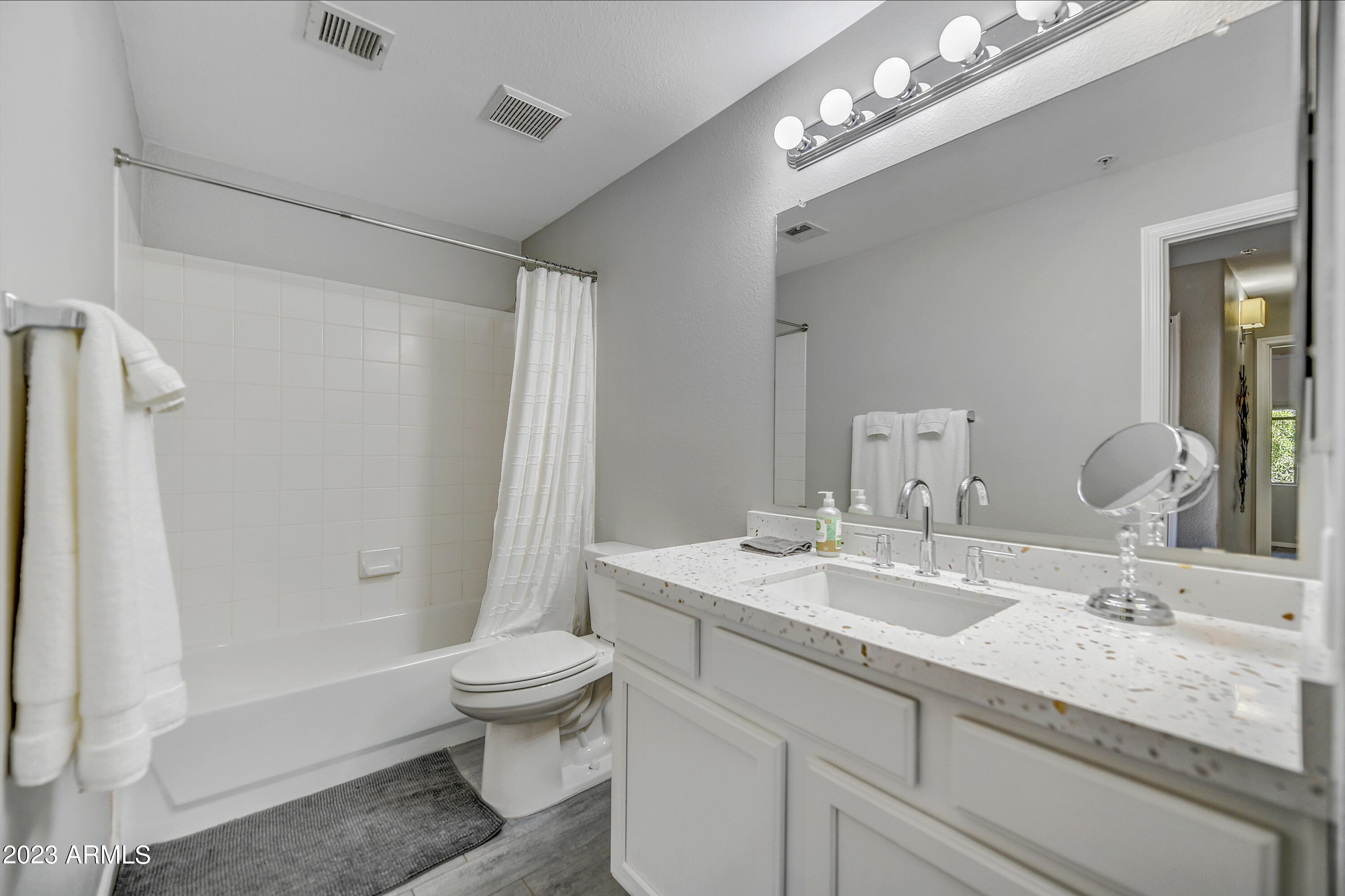 20100 North 78th Place, Unit 1036 Scottsdale, AZ 85255 - Photo 11 of 16 Guest Bath