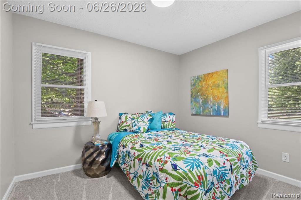 43600 Crowley Road Belleville, MI 48111 - Photo 15 of 33