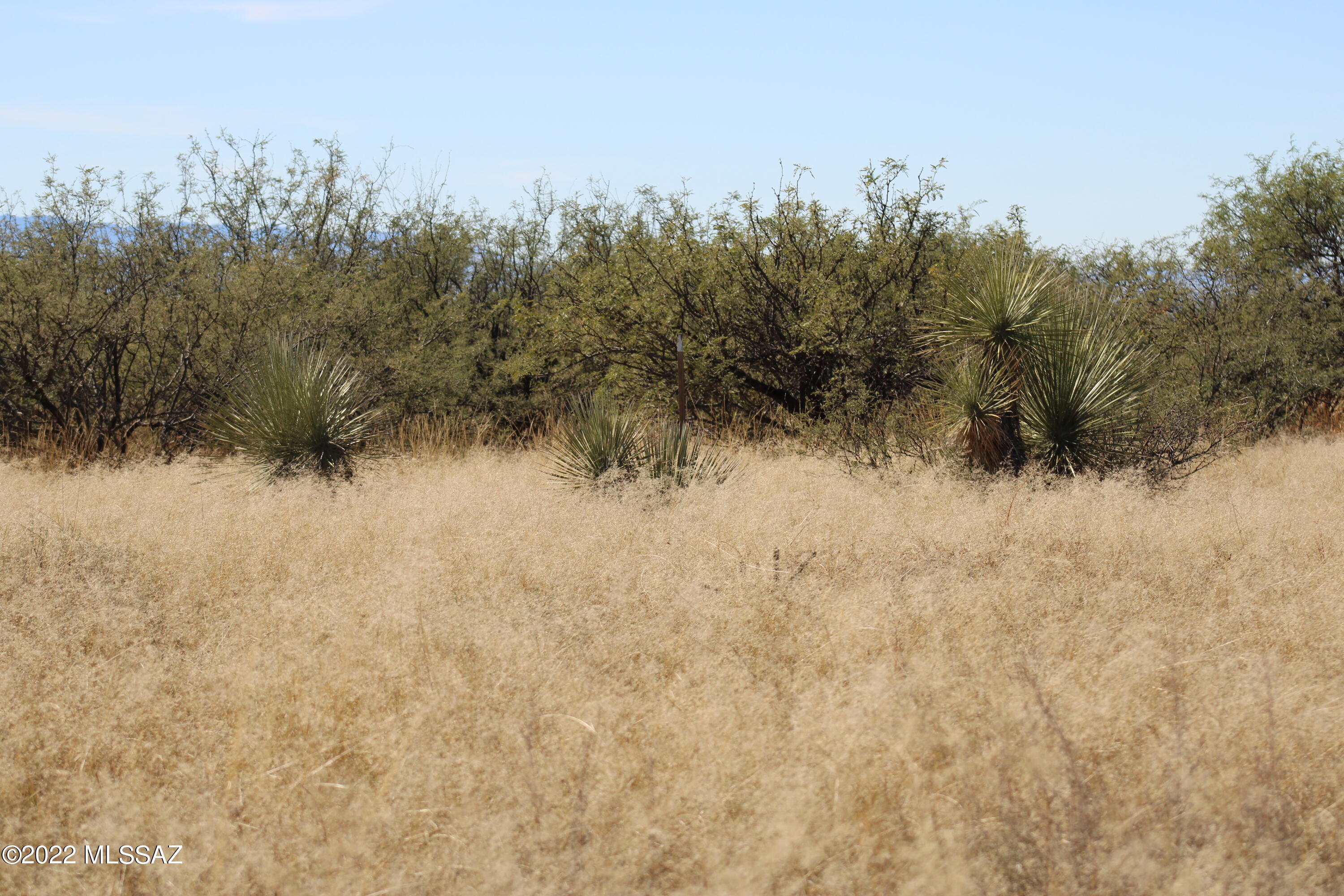 East De Vaca Circle St. David, AZ 85630 - Photo 11 of 20
