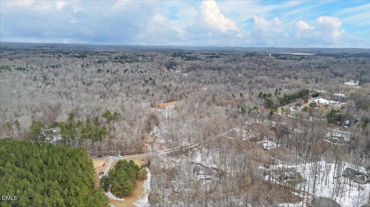 0 Mace Road Mebane, NC 27302 - Photo 11 of 39 a view of a dry yard with wooden fence