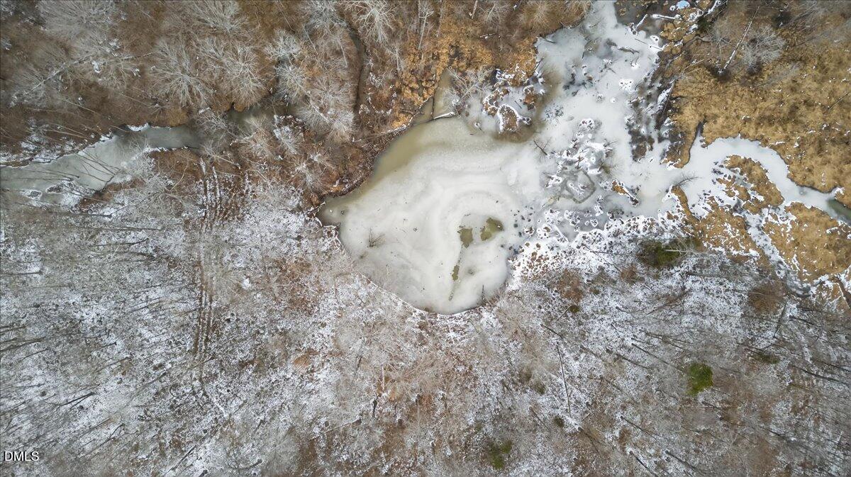 0 Mace Road Mebane, NC 27302 - Photo 12 of 39 a view of a dry yard with large trees