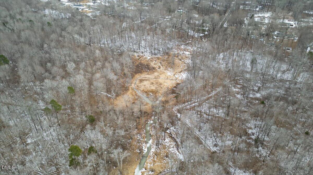 0 Mace Road Mebane, NC 27302 - Photo 13 of 39 a close up of a tree