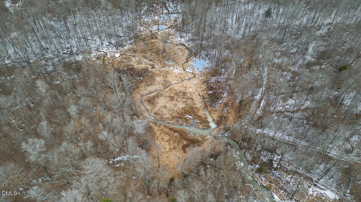 0 Mace Road Mebane, NC 27302 - Photo 14 of 39 a close up of a tree