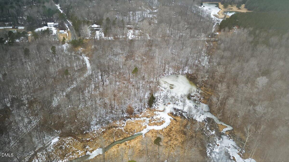 0 Mace Road Mebane, NC 27302 - Photo 15 of 39 a picture of tree