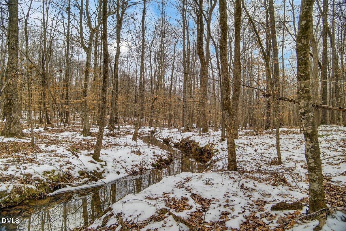 0 Mace Road Mebane, NC 27302 - Photo 16 of 39 a view of a yard with trees