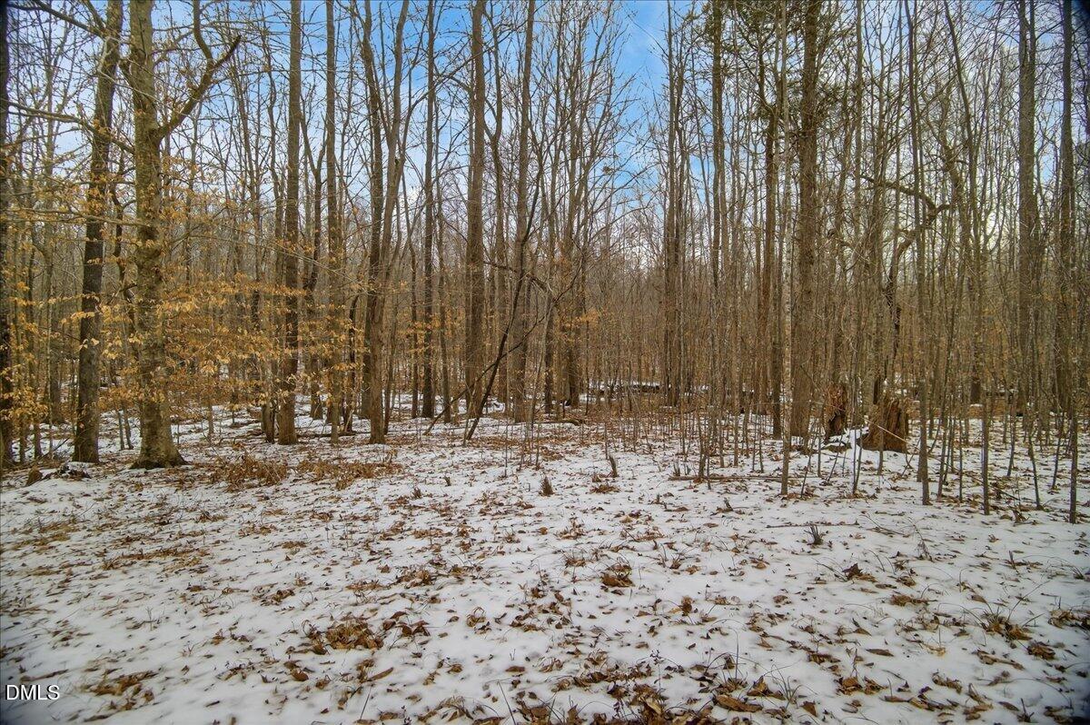 0 Mace Road Mebane, NC 27302 - Photo 17 of 39 a view of wooden fence