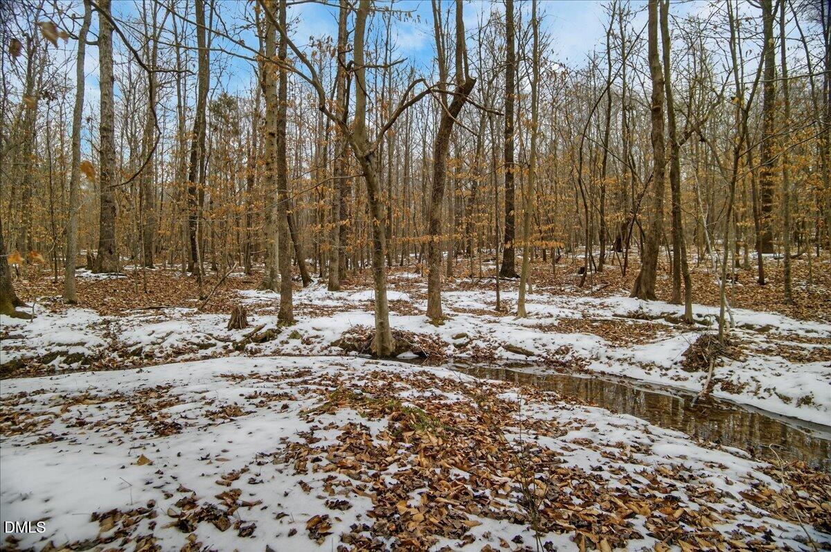 0 Mace Road Mebane, NC 27302 - Photo 18 of 39 a view of water with large trees