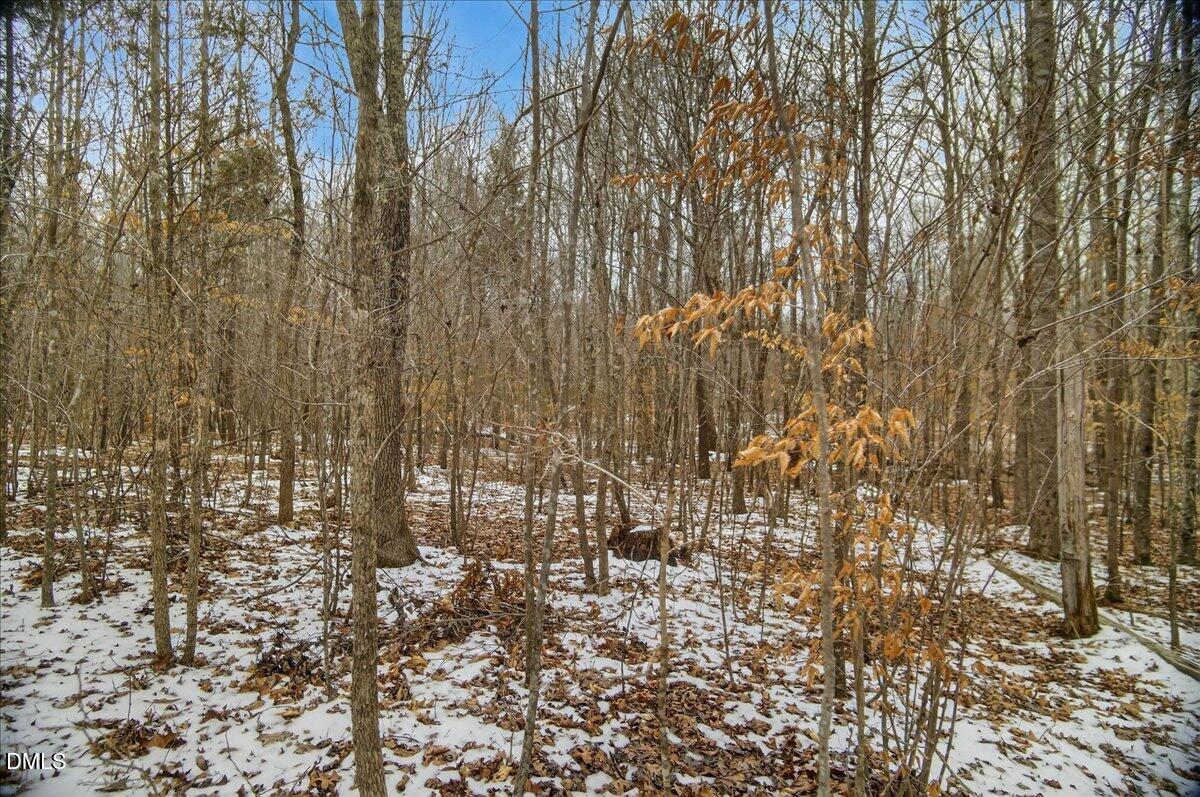 0 Mace Road Mebane, NC 27302 - Photo 19 of 39 20-DSC3630