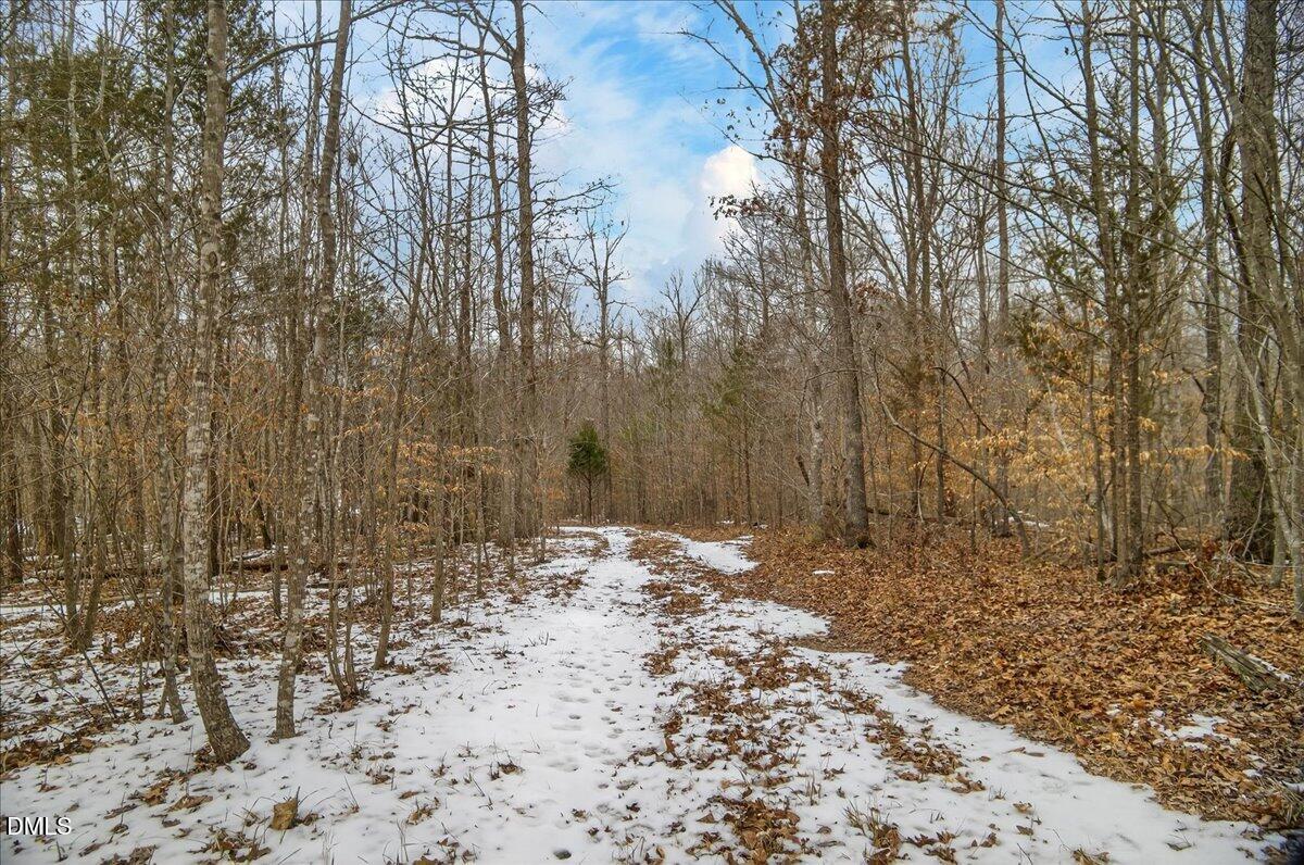 0 Mace Road Mebane, NC 27302 - Photo 20 of 39 a view of a backyard of the house
