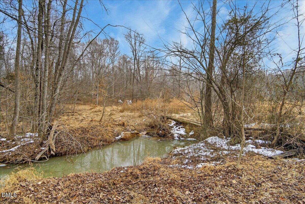 0 Mace Road Mebane, NC 27302 - Photo 22 of 39 a view of lake with green space