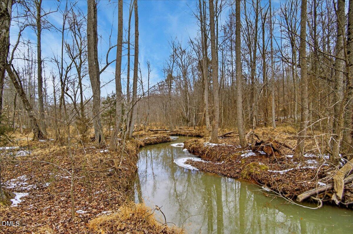 0 Mace Road Mebane, NC 27302 - Photo 23 of 39 a view of swimming pool with a yard and large trees