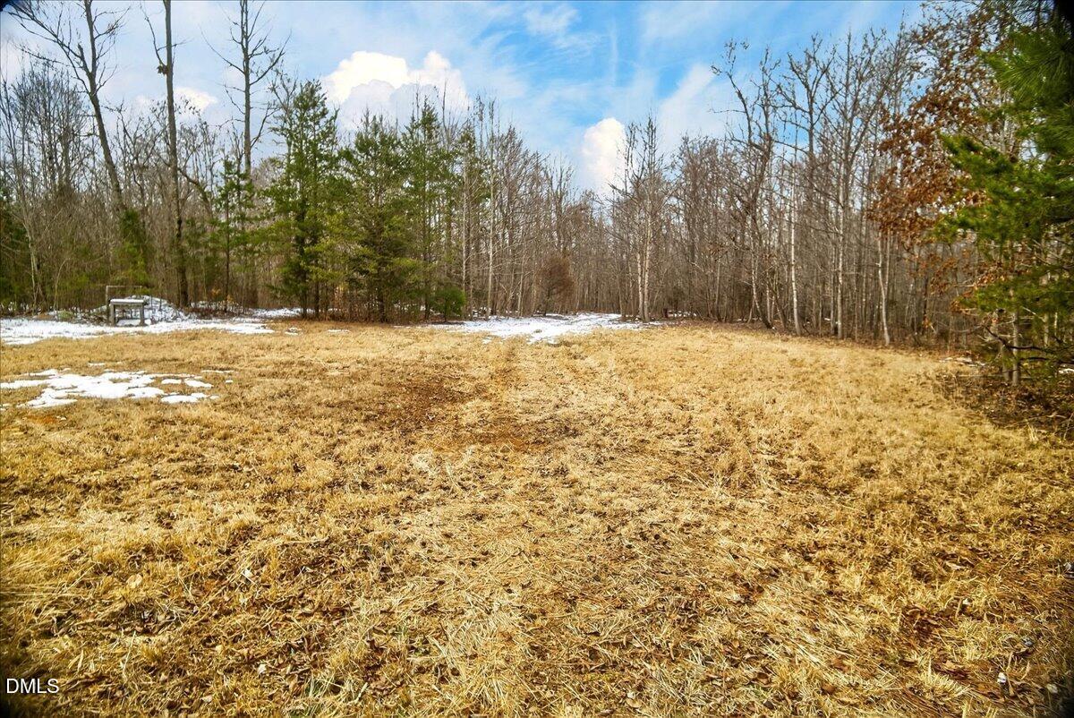 0 Mace Road Mebane, NC 27302 - Photo 25 of 39 a view of large yard with trees