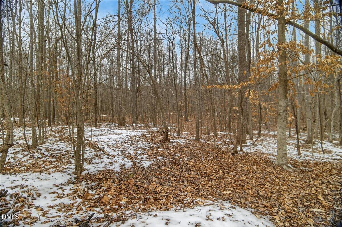 0 Mace Road Mebane, NC 27302 - Photo 26 of 39 a view of a yard with trees