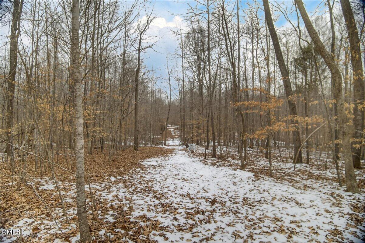 0 Mace Road Mebane, NC 27302 - Photo 27 of 39 a view of a backyard with trees