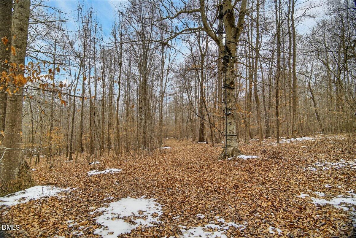 0 Mace Road Mebane, NC 27302 - Photo 28 of 39 a view of wooden fence