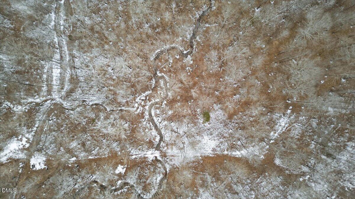 0 Mace Road Mebane, NC 27302 - Photo 6 of 39 a close up of a tree