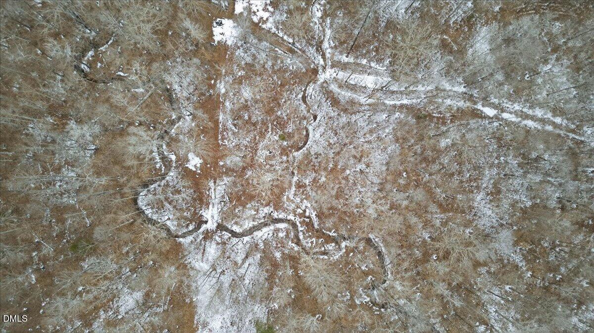 0 Mace Road Mebane, NC 27302 - Photo 7 of 39 a picture of tree