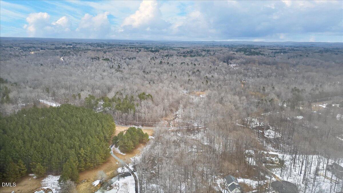 0 Mace Road Mebane, NC 27302 - Photo 10 of 39 a view of a dry yard