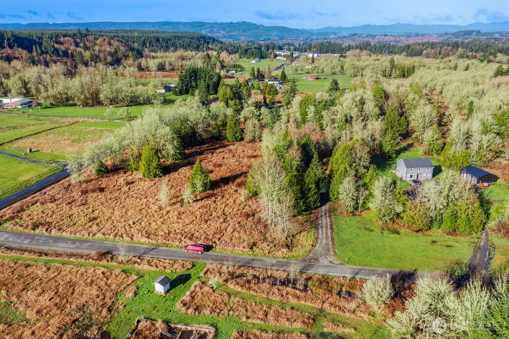 0 Smokey Valley Road Toledo, WA 98591 - Photo 7 of 8 a view of a yard with an outdoor space
