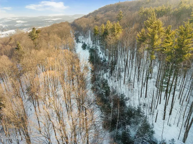 $74,900 | L3.2 Brooker Hollow Road, Richmondville, NY 12149