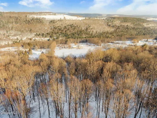 $74,900 | L3.2 Brooker Hollow Road, Richmondville, NY 12149