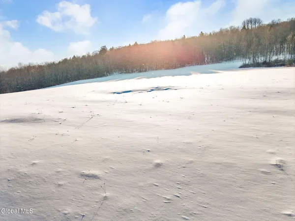 $74,900 | L3.2 Brooker Hollow Road, Richmondville, NY 12149