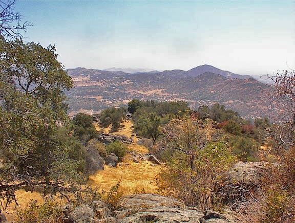 38176 Cardinal Lane Squaw Valley, CA 93675 - Photo 12 of 38