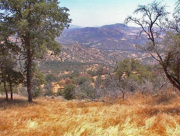 38176 Cardinal Lane Squaw Valley, CA 93675 - Photo 13 of 38