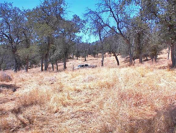 38176 Cardinal Lane Squaw Valley, CA 93675 - Photo 14 of 38