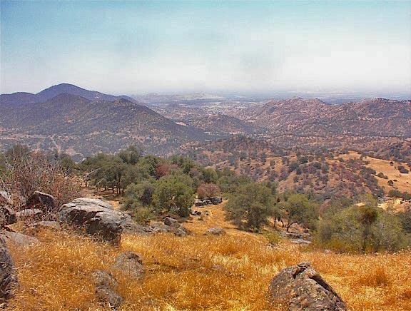 38176 Cardinal Lane Squaw Valley, CA 93675 - Photo 15 of 38