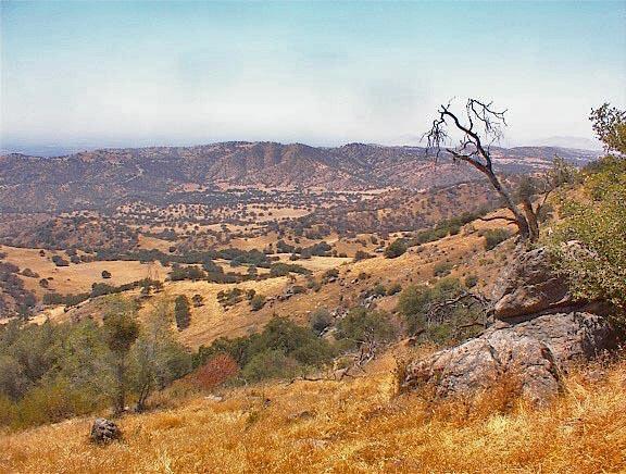 38176 Cardinal Lane Squaw Valley, CA 93675 - Photo 16 of 38