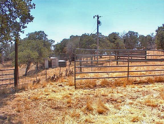 38176 Cardinal Lane Squaw Valley, CA 93675 - Photo 20 of 38