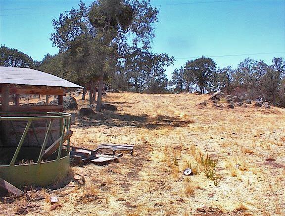 38176 Cardinal Lane Squaw Valley, CA 93675 - Photo 21 of 38